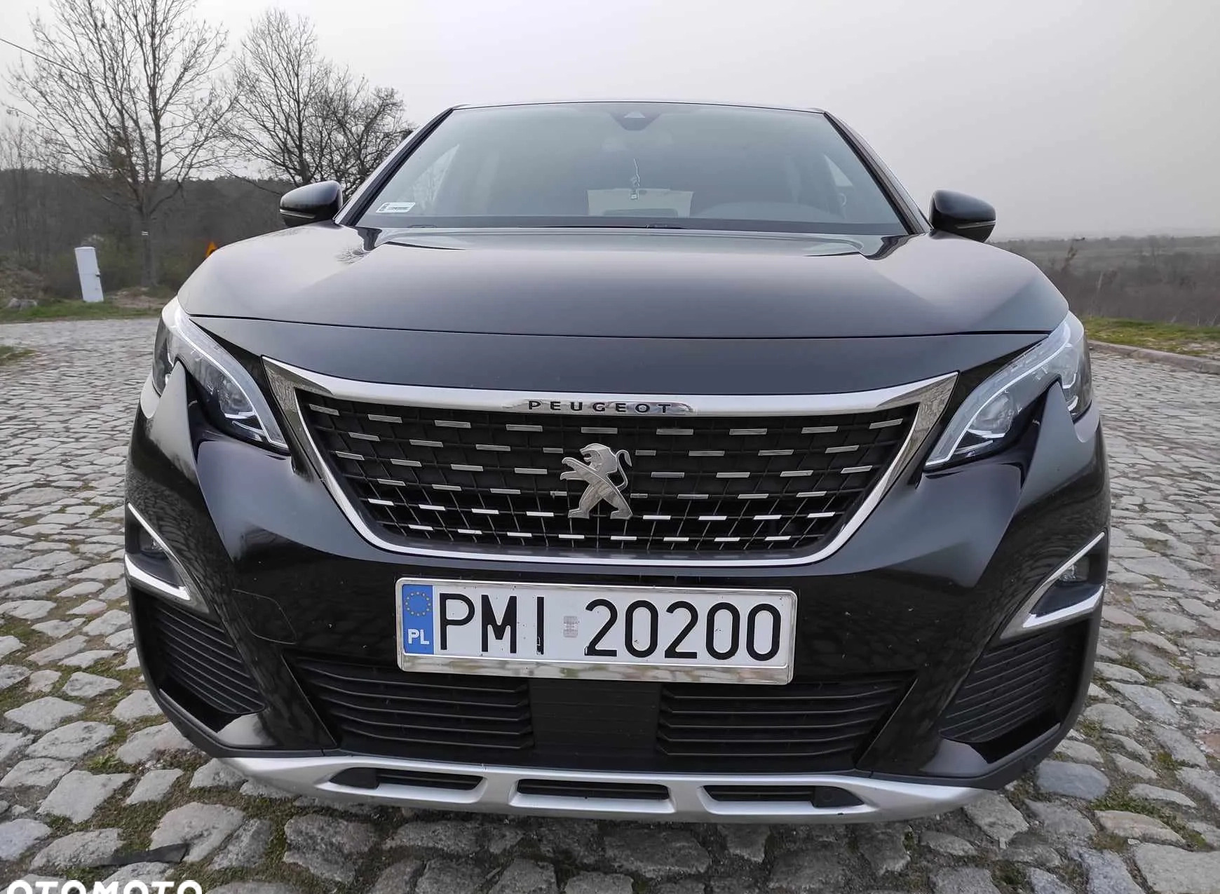 Peugeot 3008 cena 79000 przebieg: 172500, rok produkcji 2017 z Sieraków małe 277